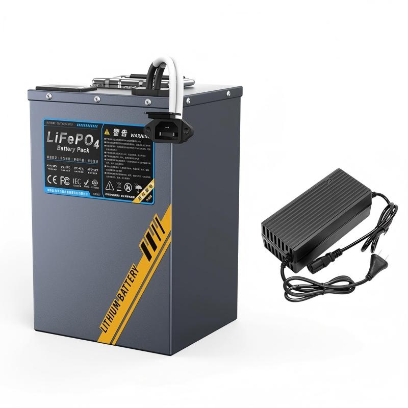 72V LFP Lithium Battery, Replacement Battery for 2-Wheel & 3-Wheel Electric Bikes & Scooters