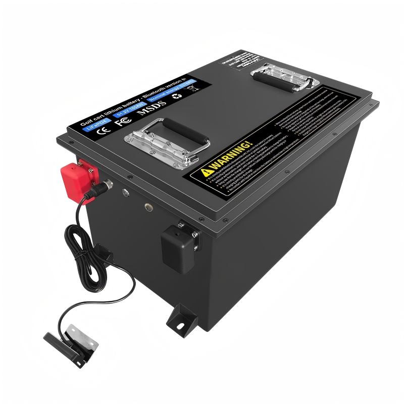 48V LiFePO4 Power Battery Pack for Golf Cart Electric Sightseeing Patrol Tour Vehicle